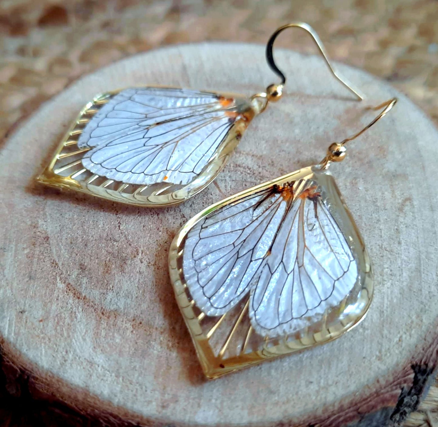 Boucles d'oreille, Aile de cigale