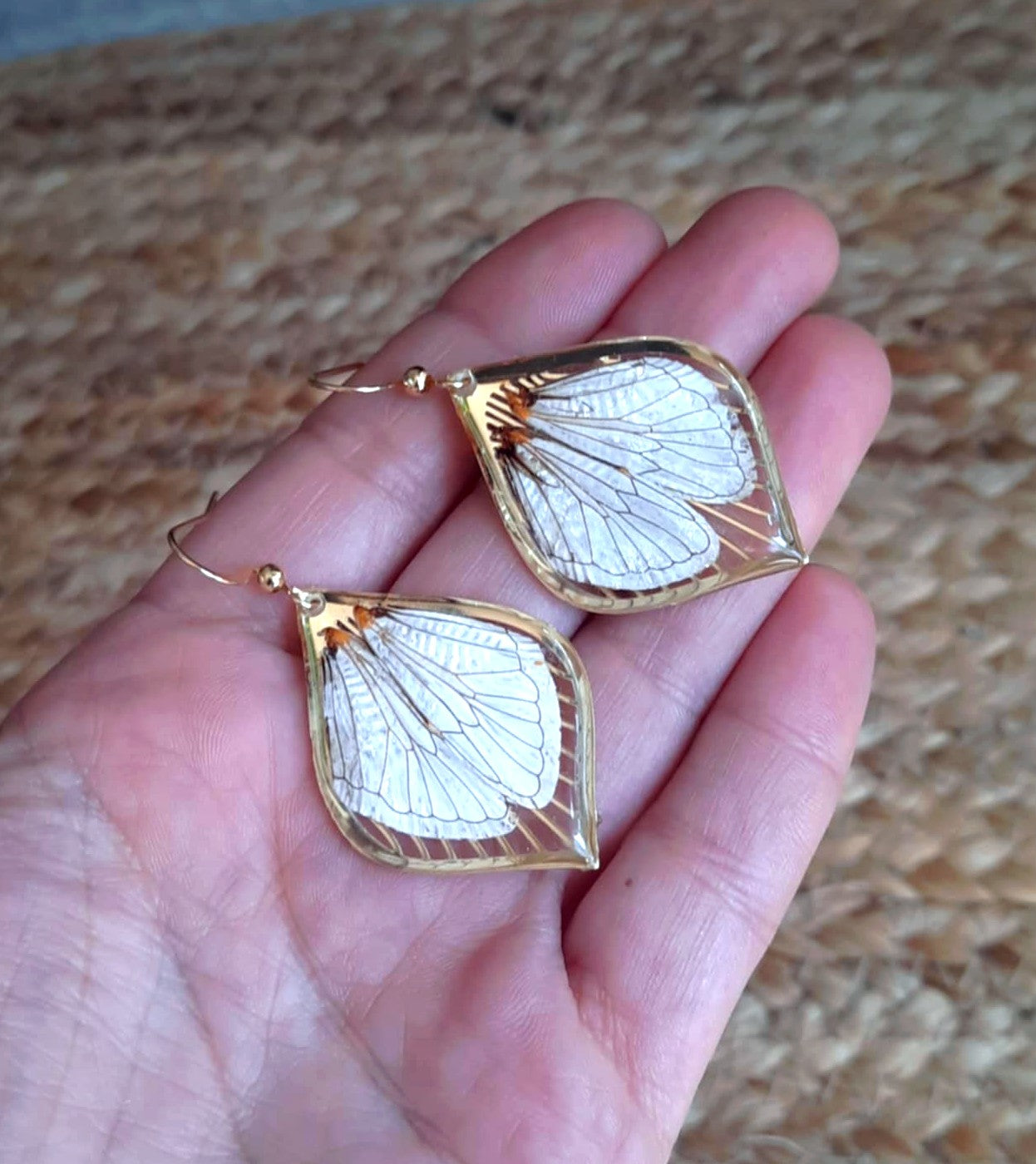 Boucles d'oreille, Aile de cigale