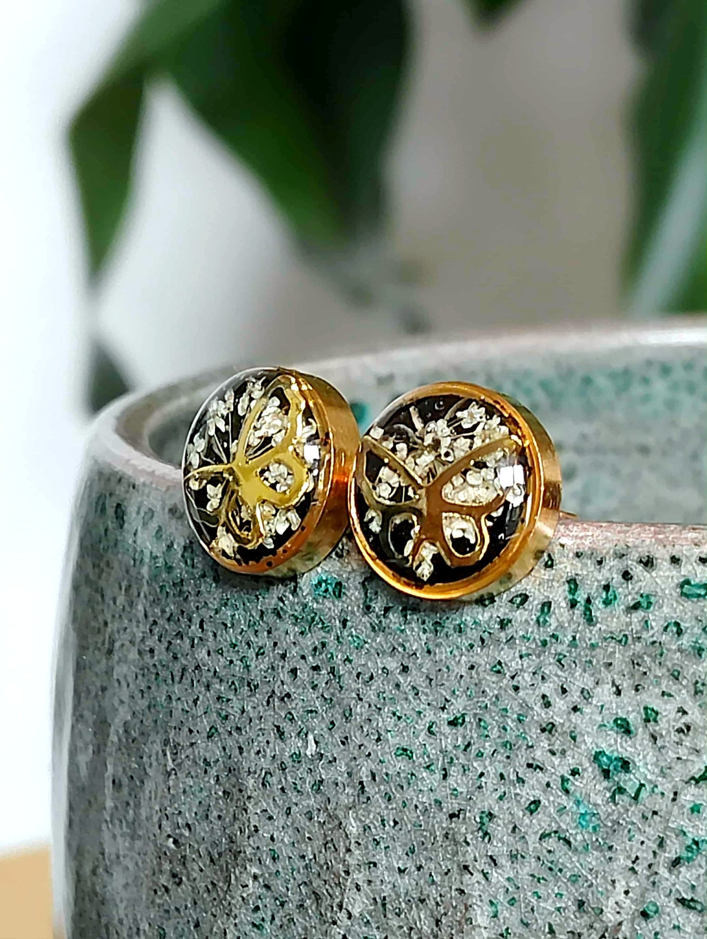 Fleur de carotte sauvage