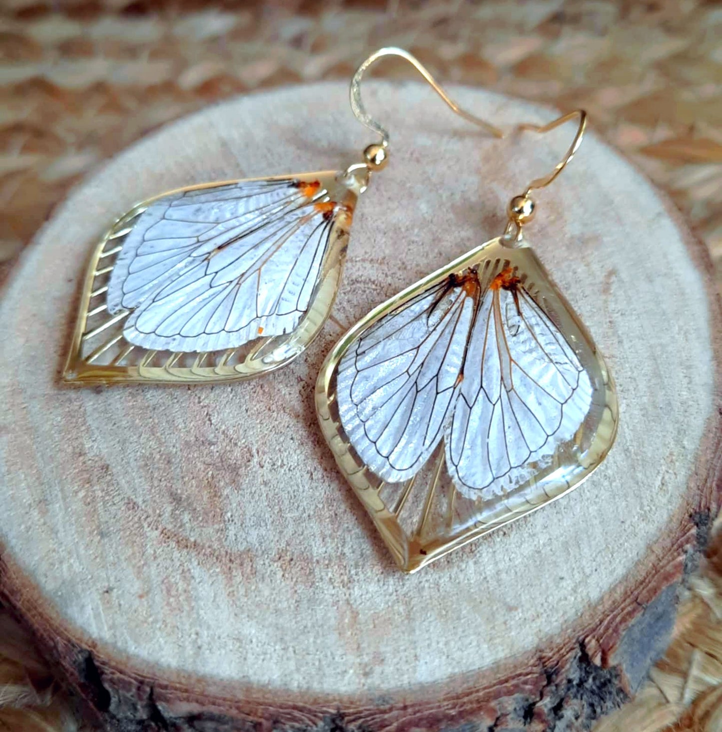 Boucles d'oreille, Aile de cigale