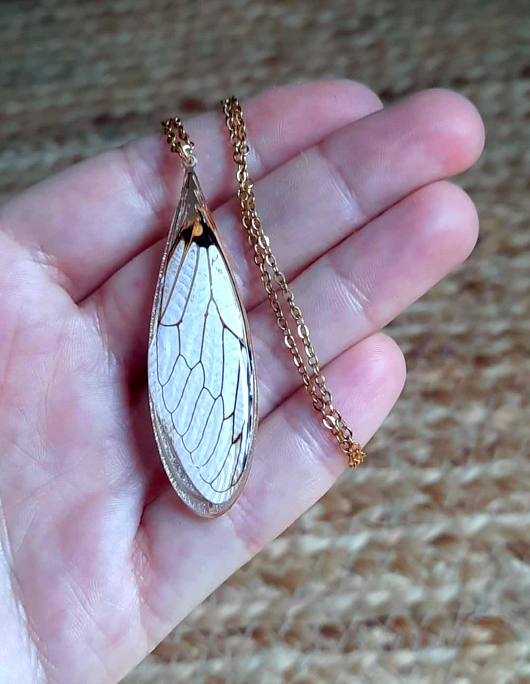 Collier, Aile de Cigale
