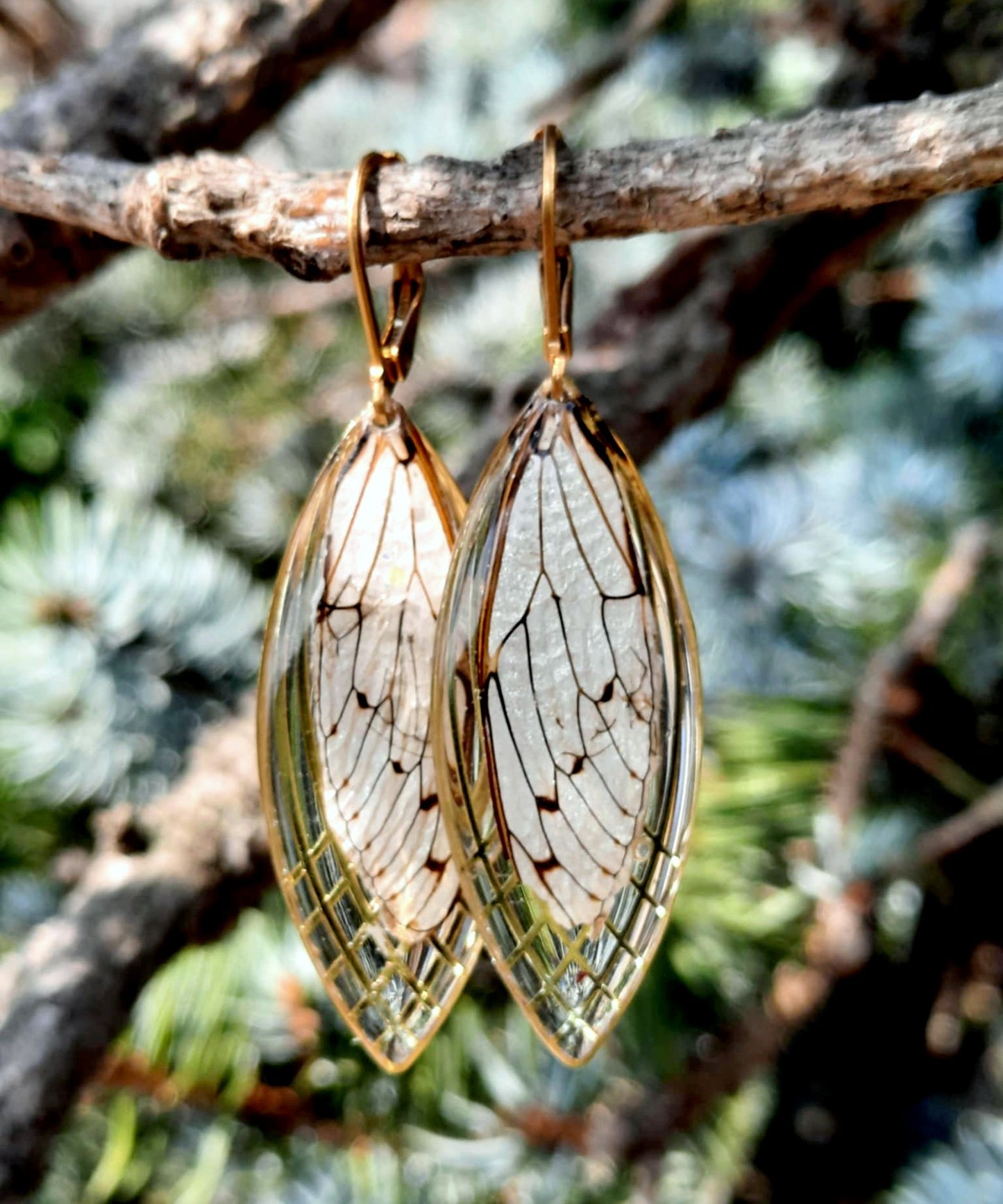 Boucles d'oreille, Aile de cigale