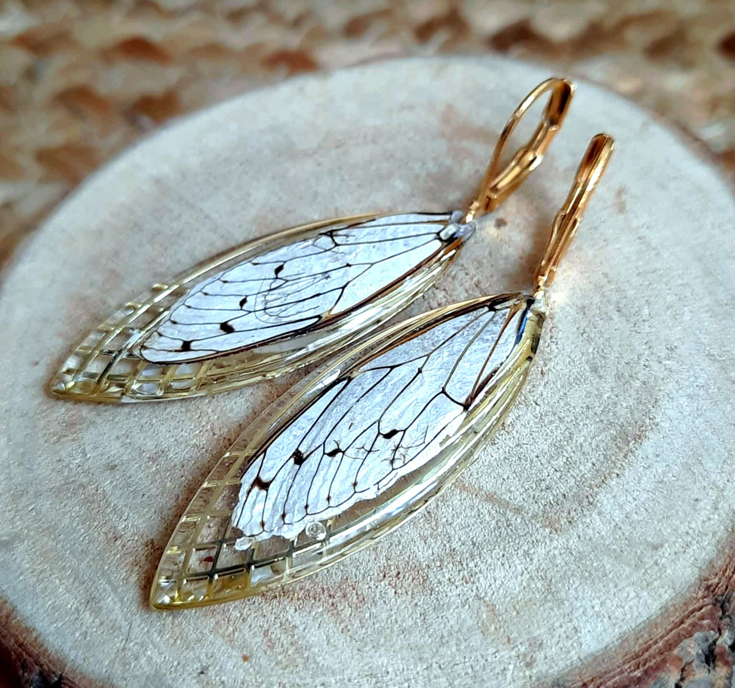 Boucles d'oreille, Aile de cigale