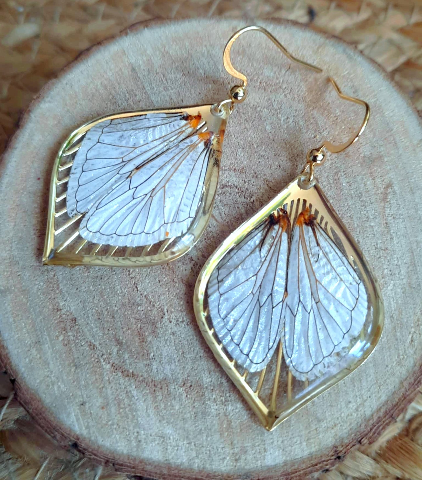 Boucles d'oreille, Aile de cigale