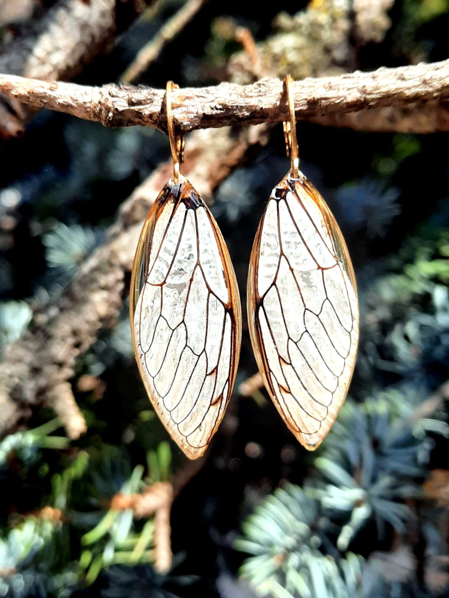 Boucles d'oreille, Aile de cigale