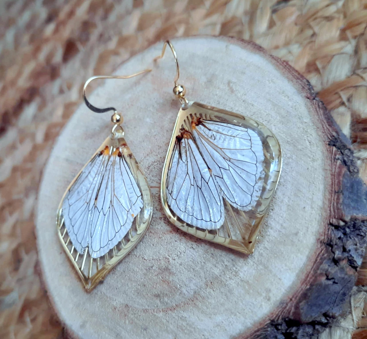 Boucles d'oreille, Aile de cigale
