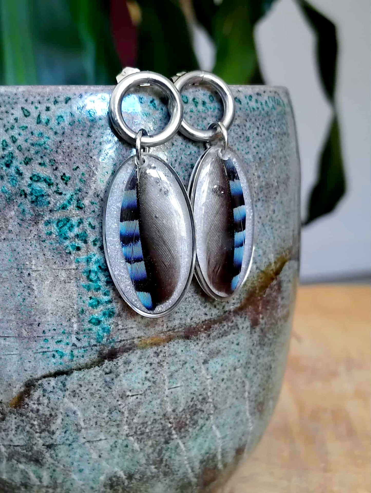 Boucles d'oreille, Plume de geai