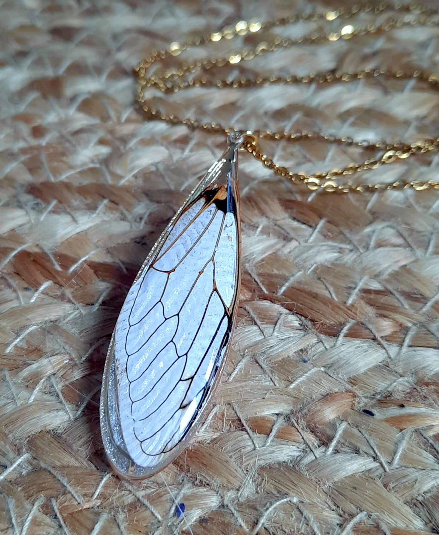 Collier, Aile de Cigale