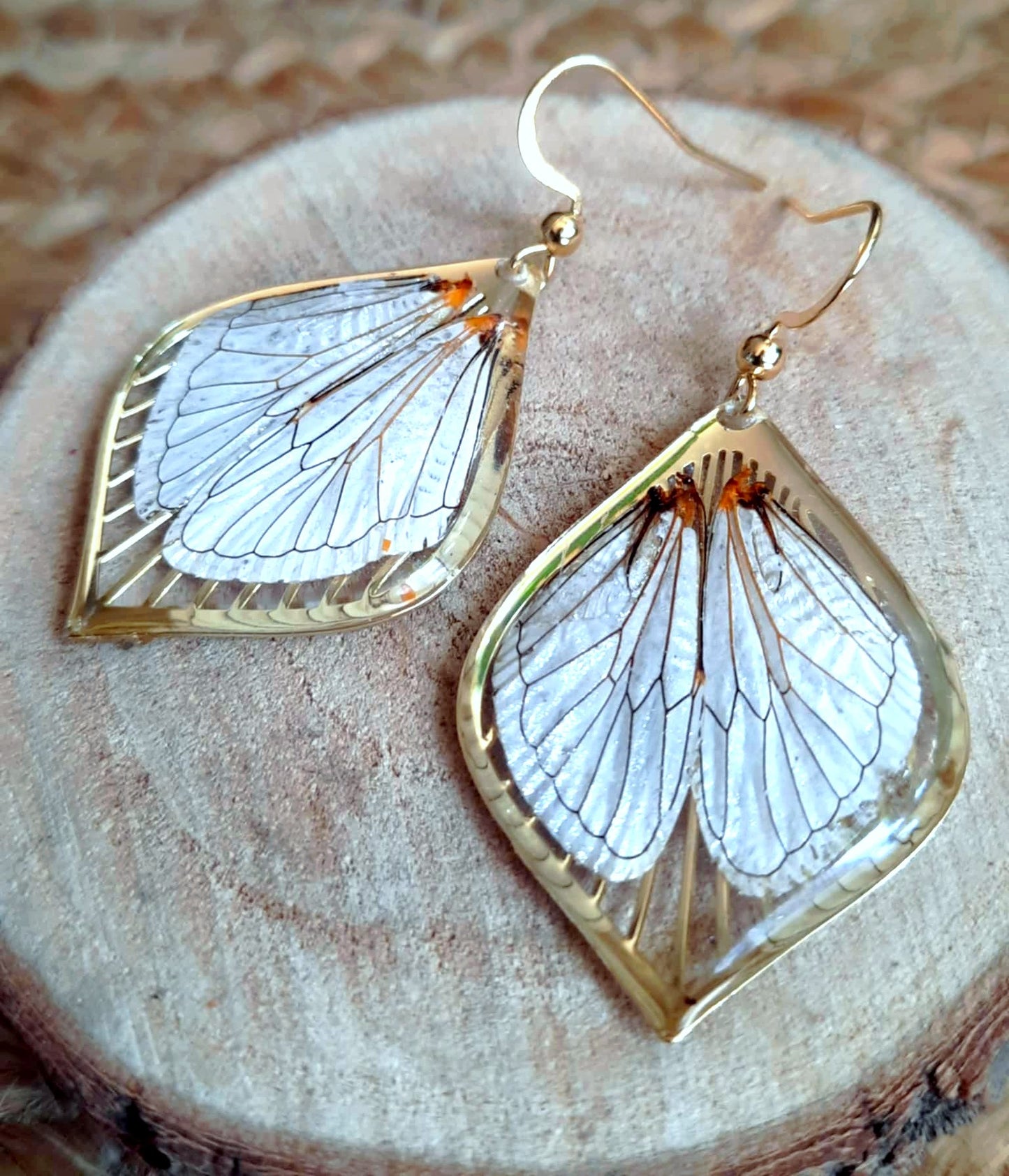 Boucles d'oreille, Aile de cigale