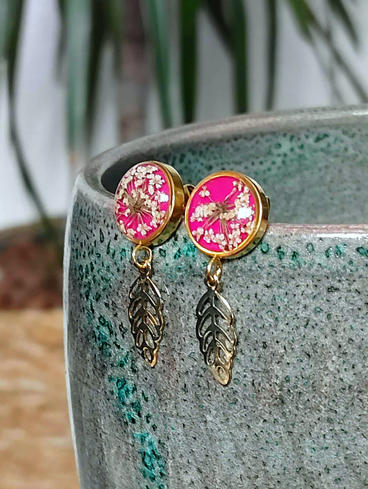 Fleur de carotte sauvage