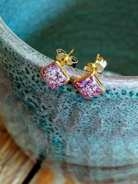 Fleur de carotte sauvage