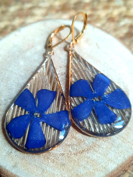 Boucles d'oreille, Pervenche
