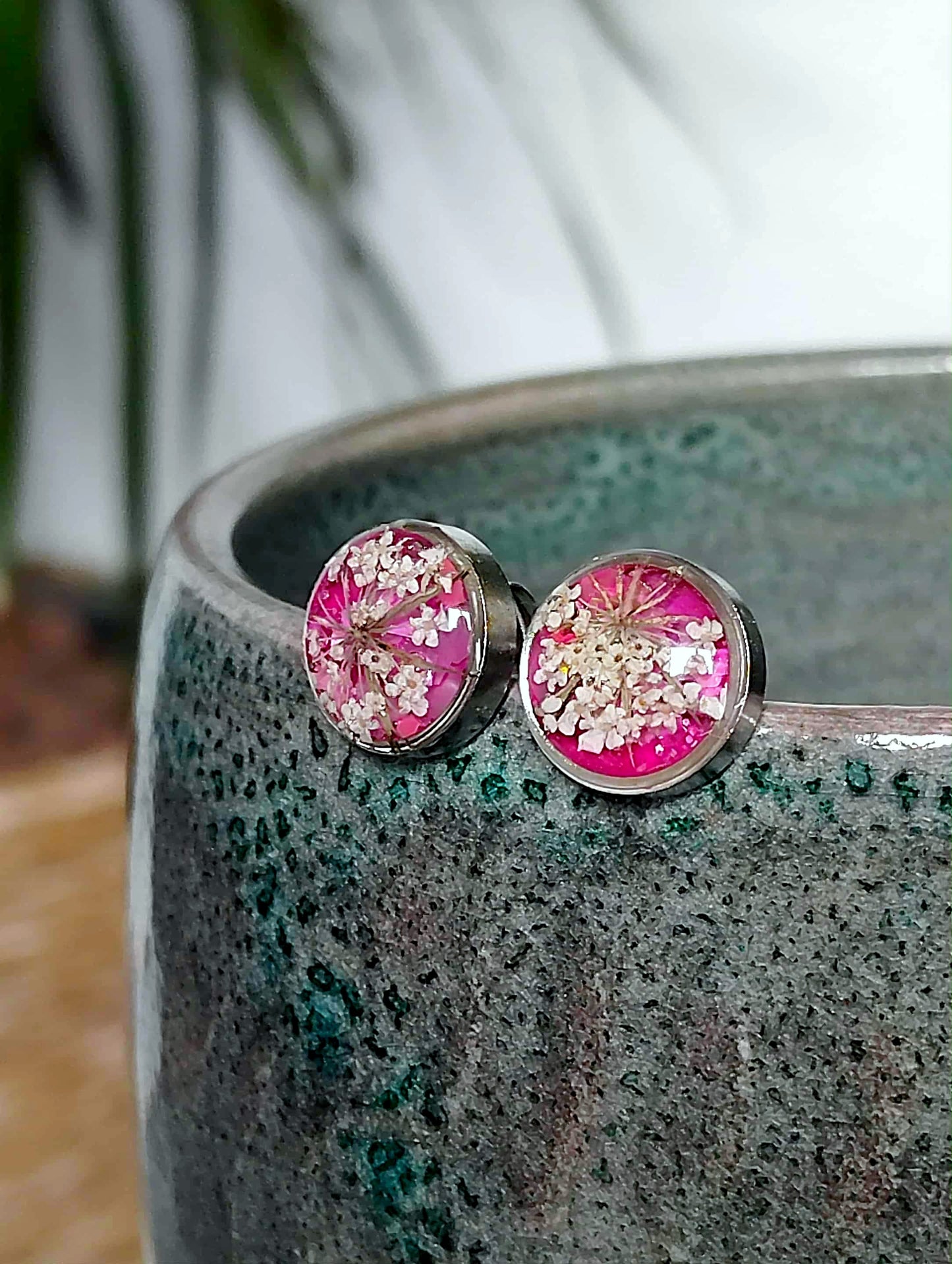 Fleur de carotte sauvage