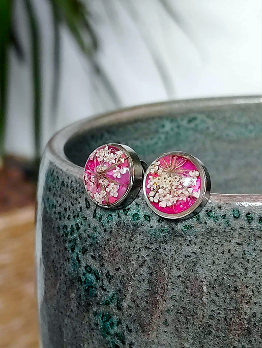 Fleur de carotte sauvage