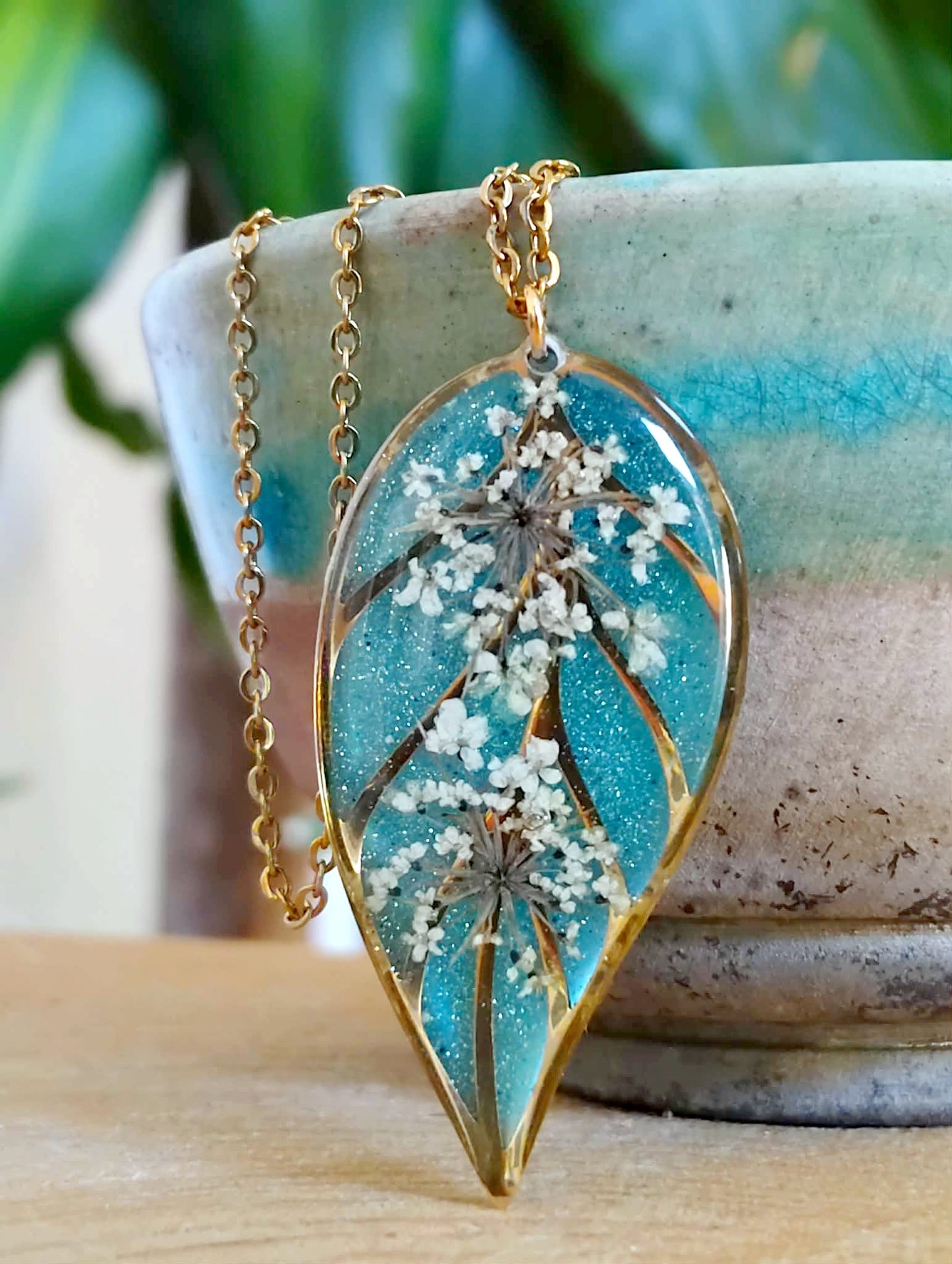 Fleur de carotte sauvage