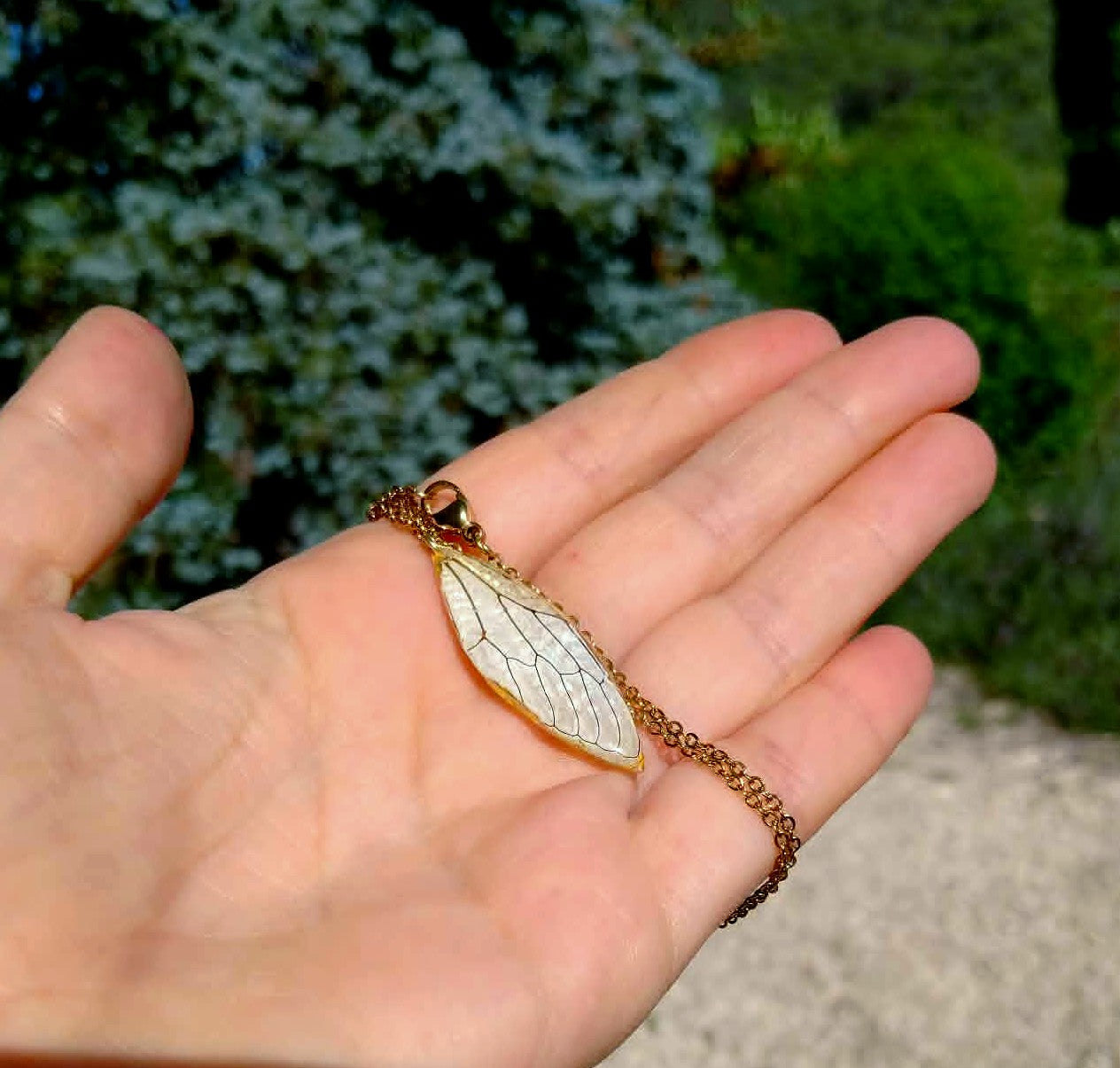 Collier Aile de cigale
