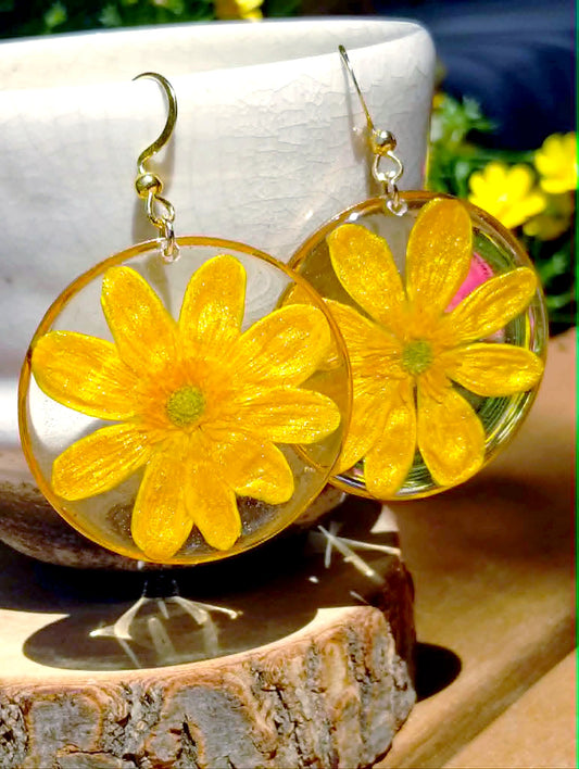 Boucles d'oreille Ficaire