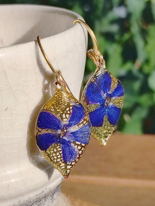 Boucles d'oreille Pervenche