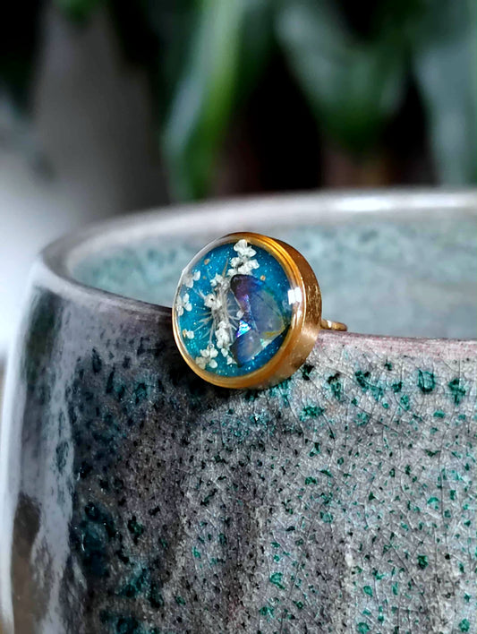 Fleur de carotte sauvage