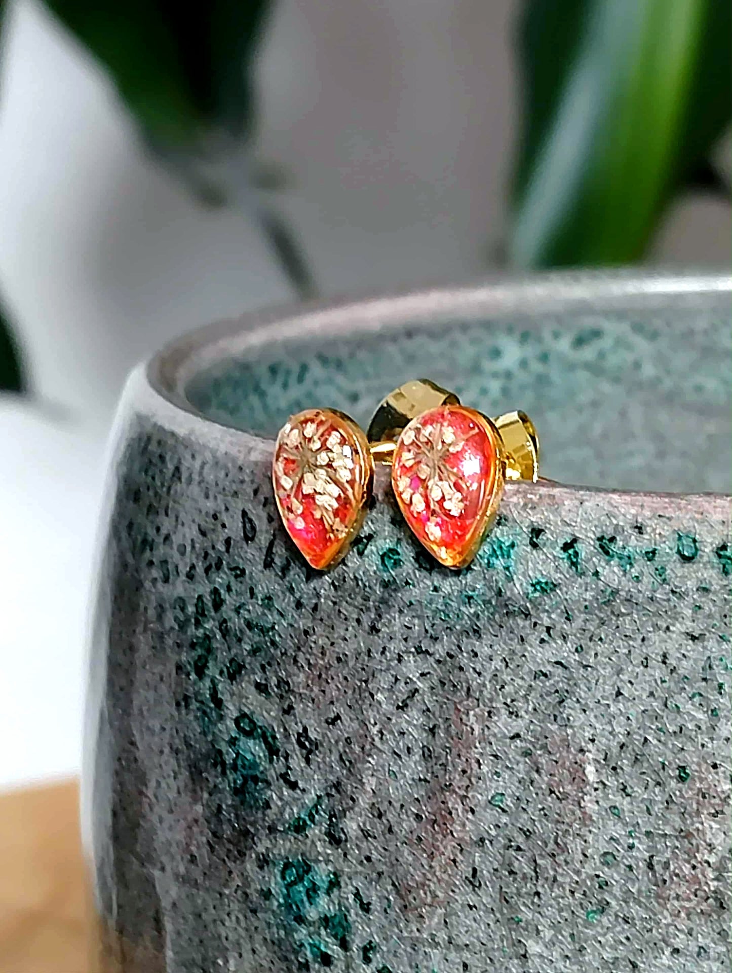 Fleur de carotte sauvage