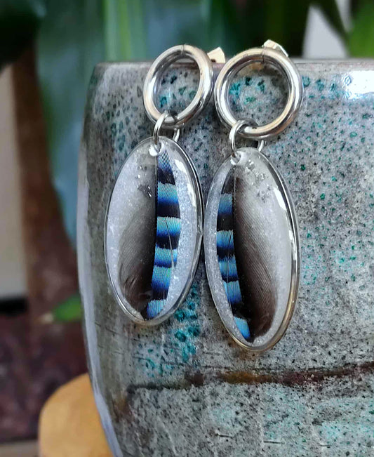Boucles d'oreille, Plume de geai