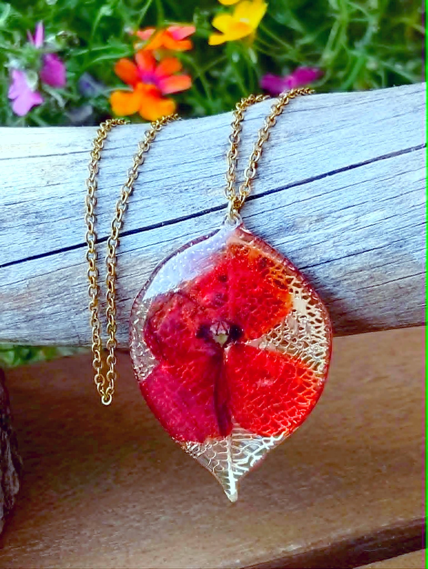 Coquelicot