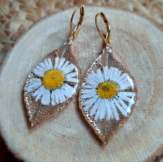 Boucles d'oreille, Pâquerette