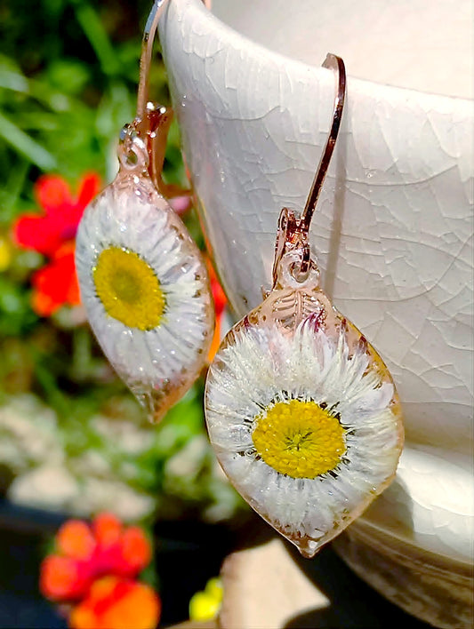Boucles d'oreille Pâquerette