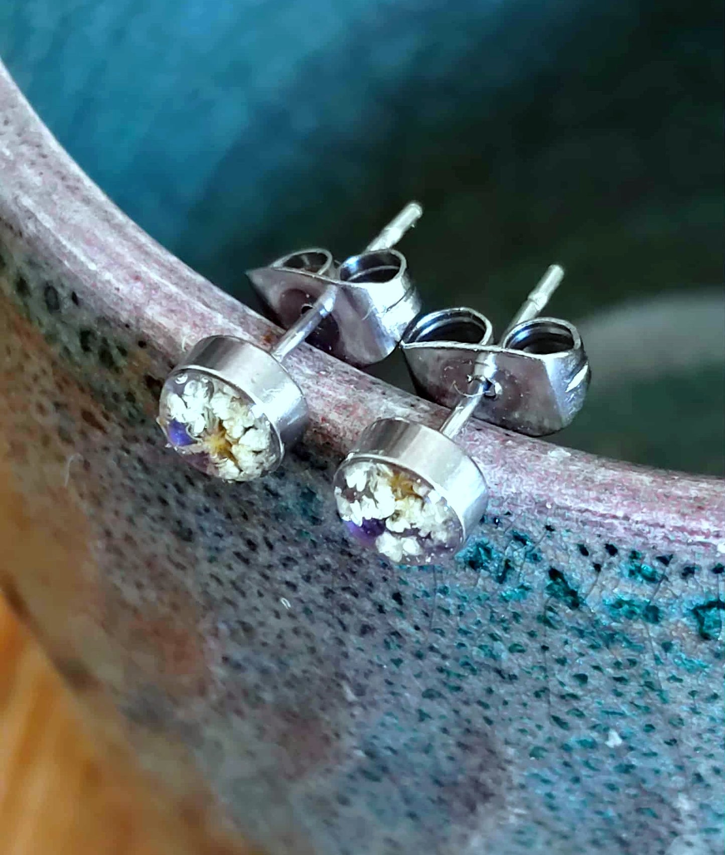 Fleur de carotte sauvage