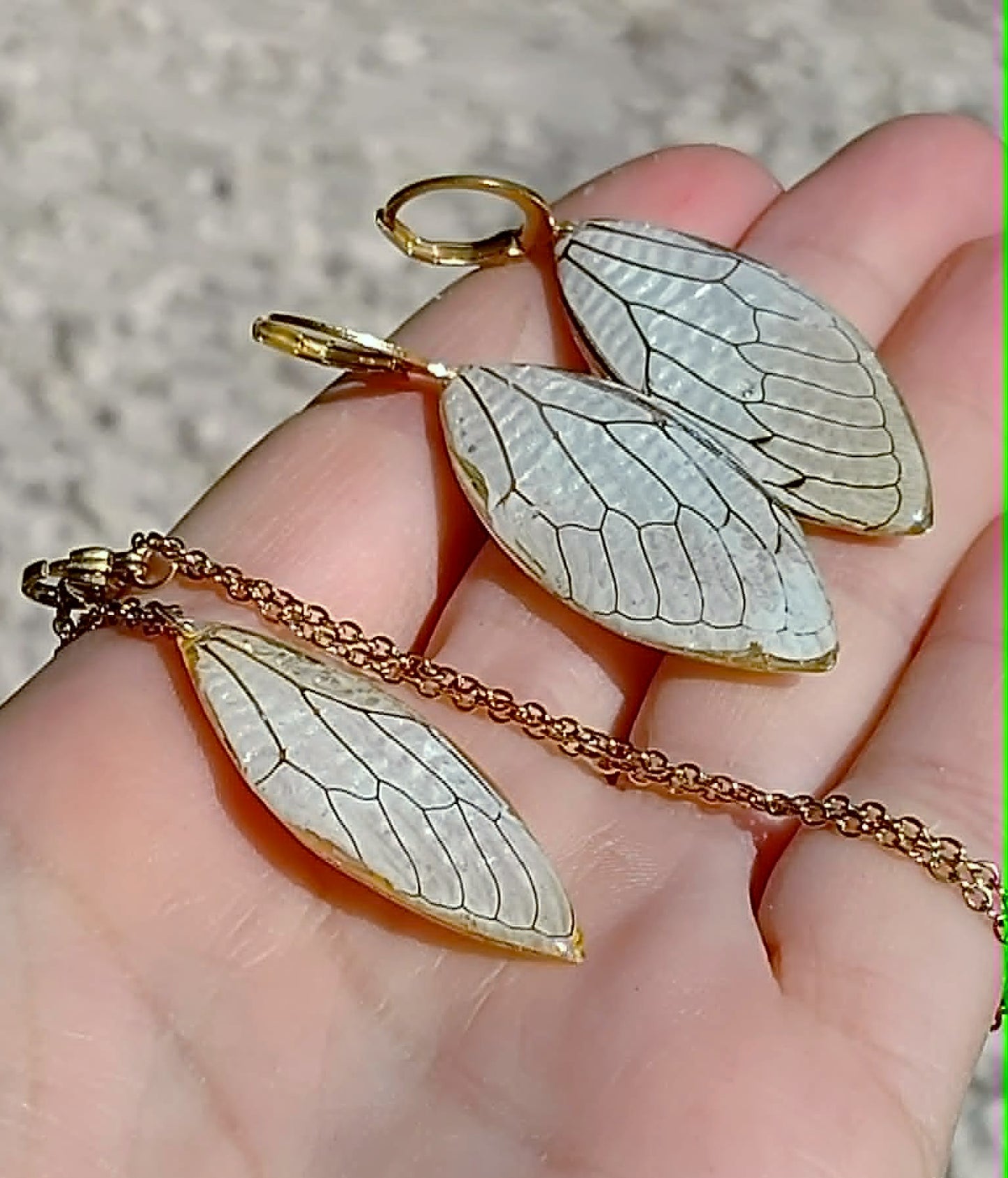 Boucles d'oreille, Aile de cigale