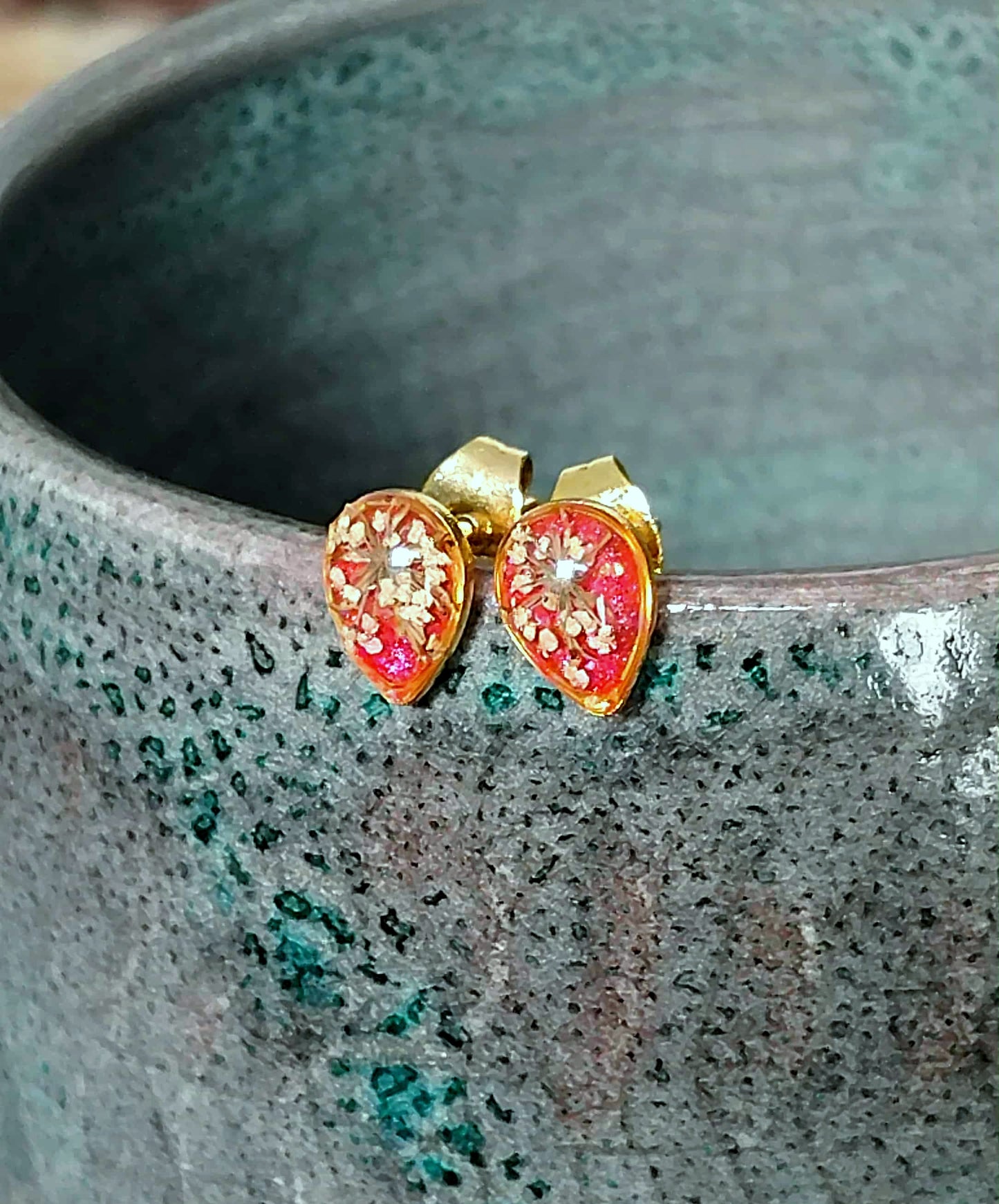 Fleur de carotte sauvage