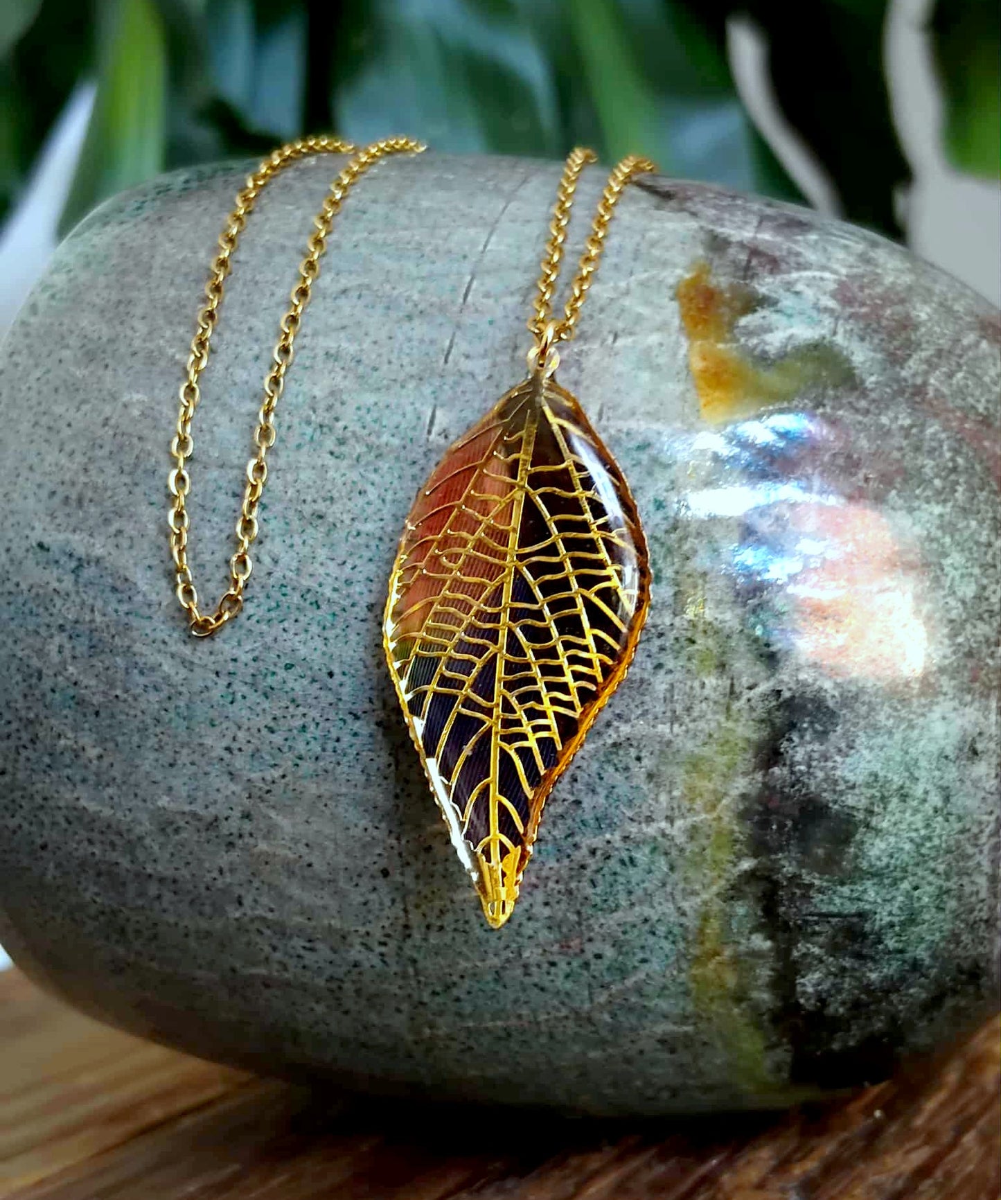 Collier, Plume exotique