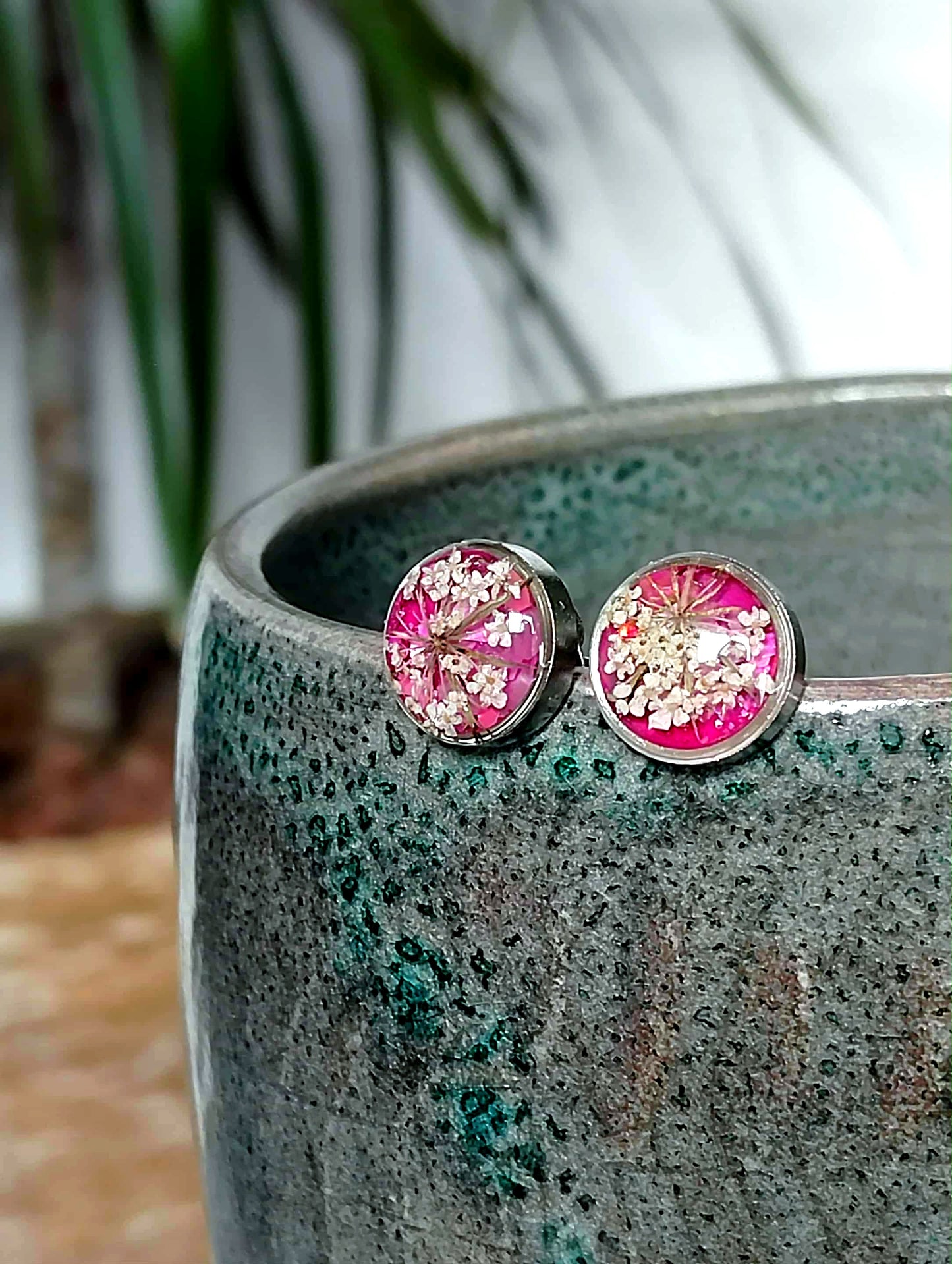 Fleur de carotte sauvage