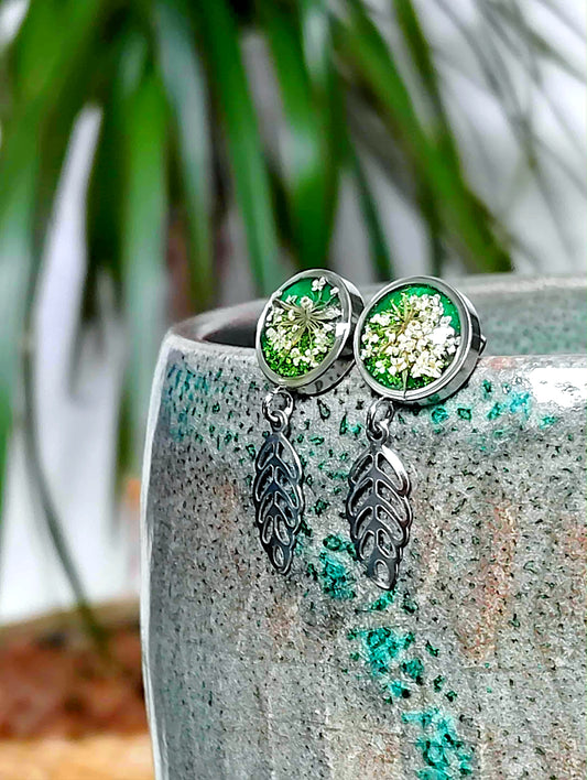 Fleur de carotte sauvage