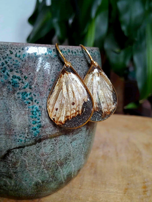 Boucles d'oreille  Aile de papillon