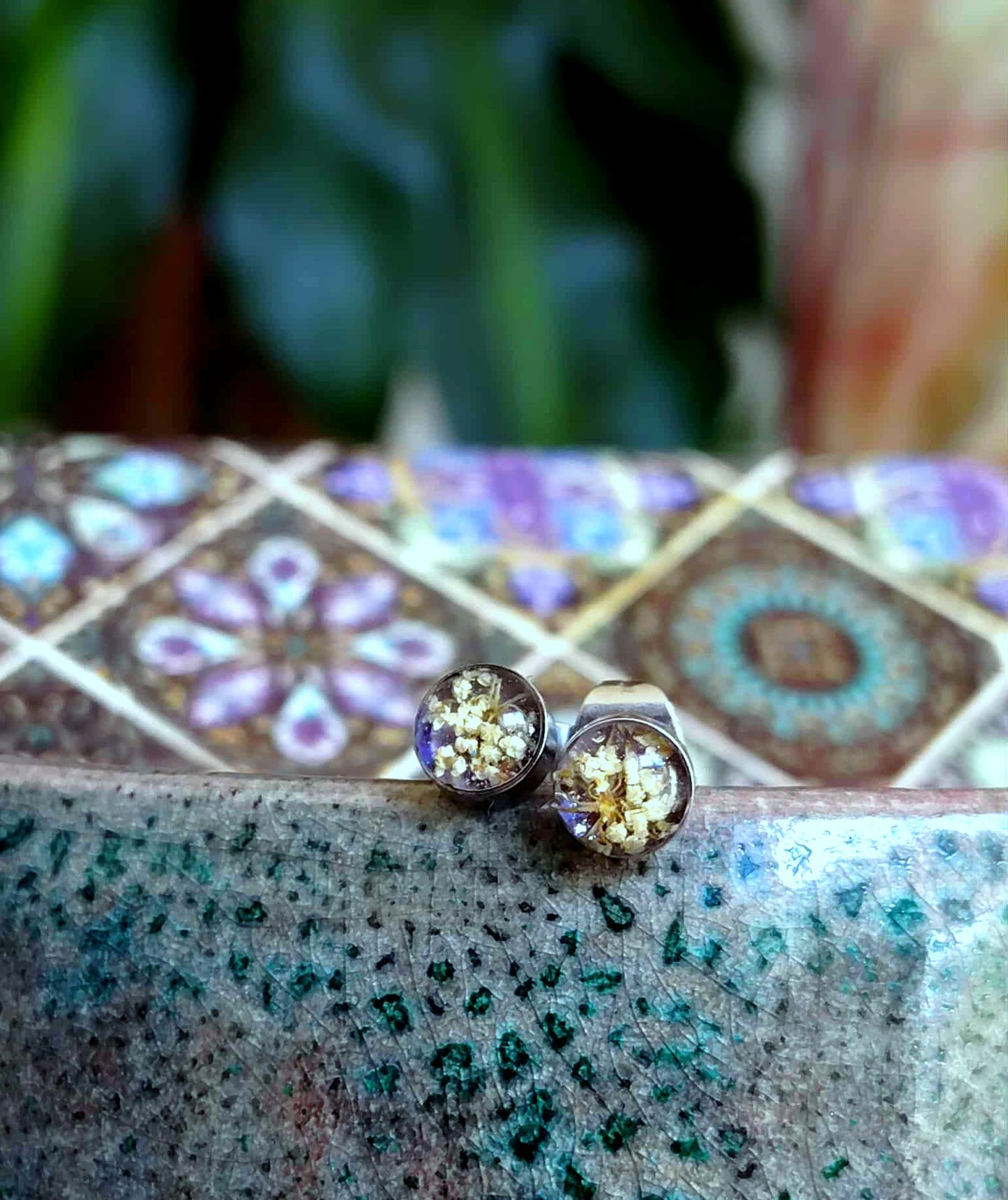 Fleur de carotte sauvage