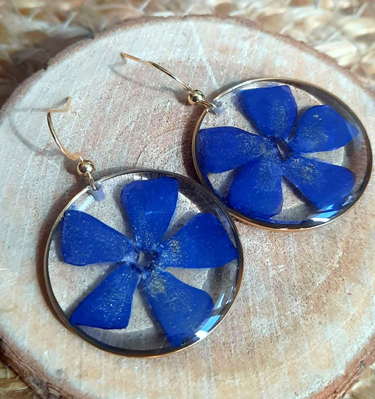 Boucles d'oreille, Pervenche