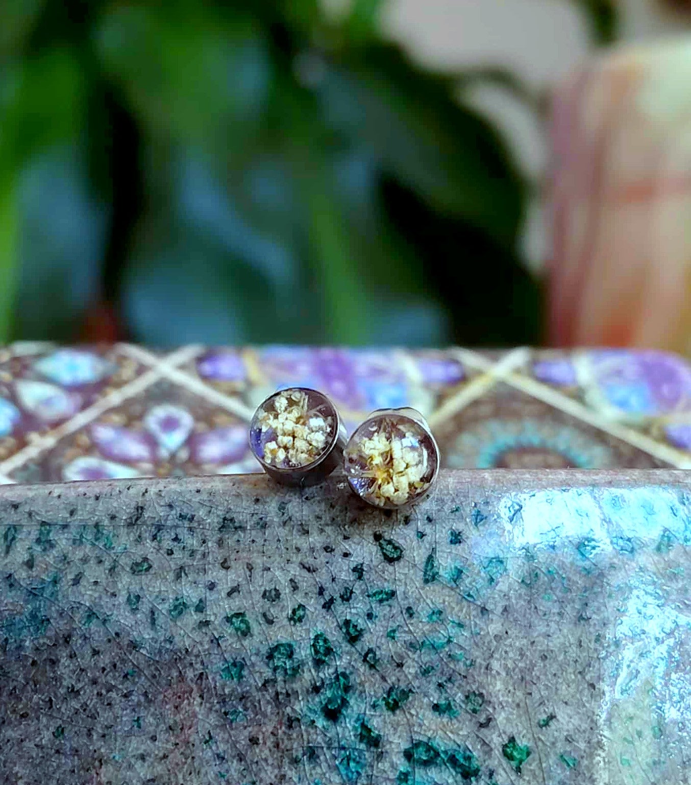 Fleur de carotte sauvage