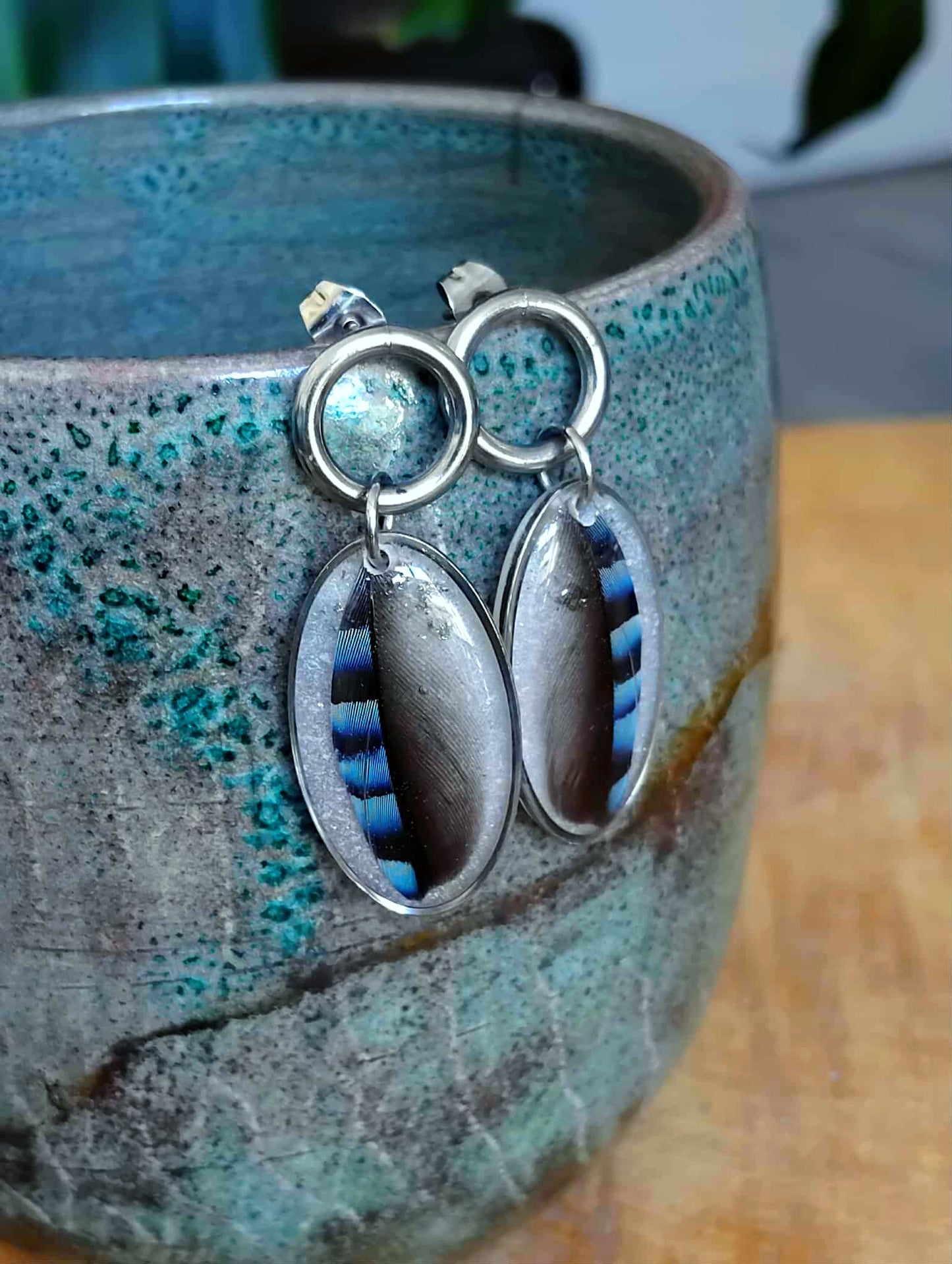 Boucles d'oreille, Plume de geai