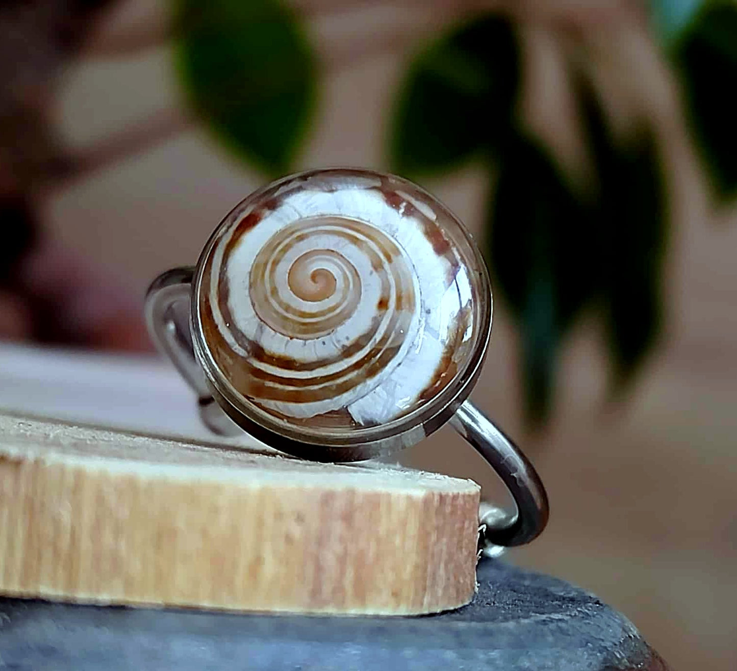 Bague Coquille d'escargot
