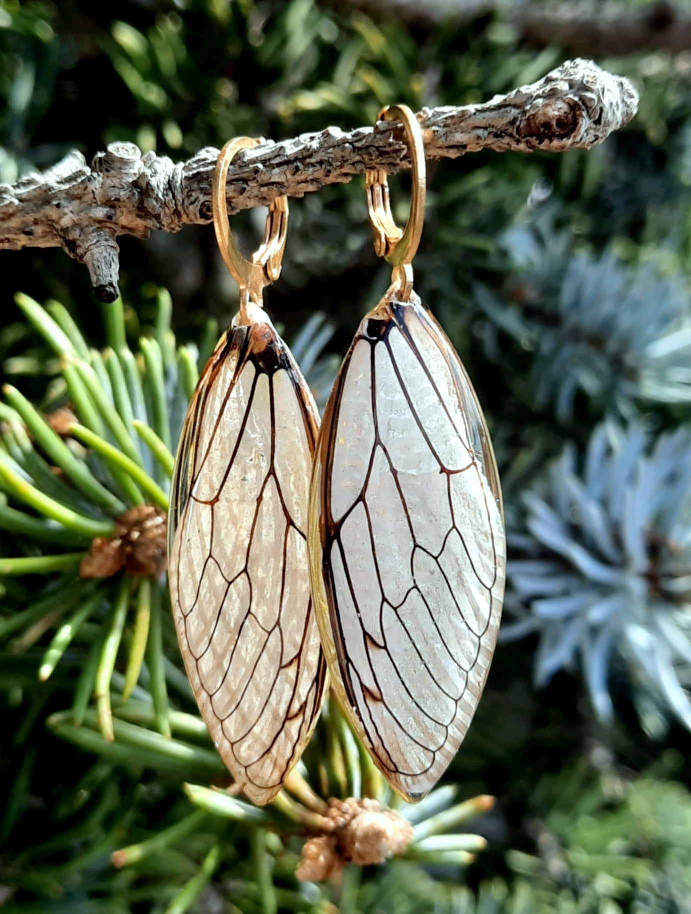 Boucles d'oreille, Aile de cigale
