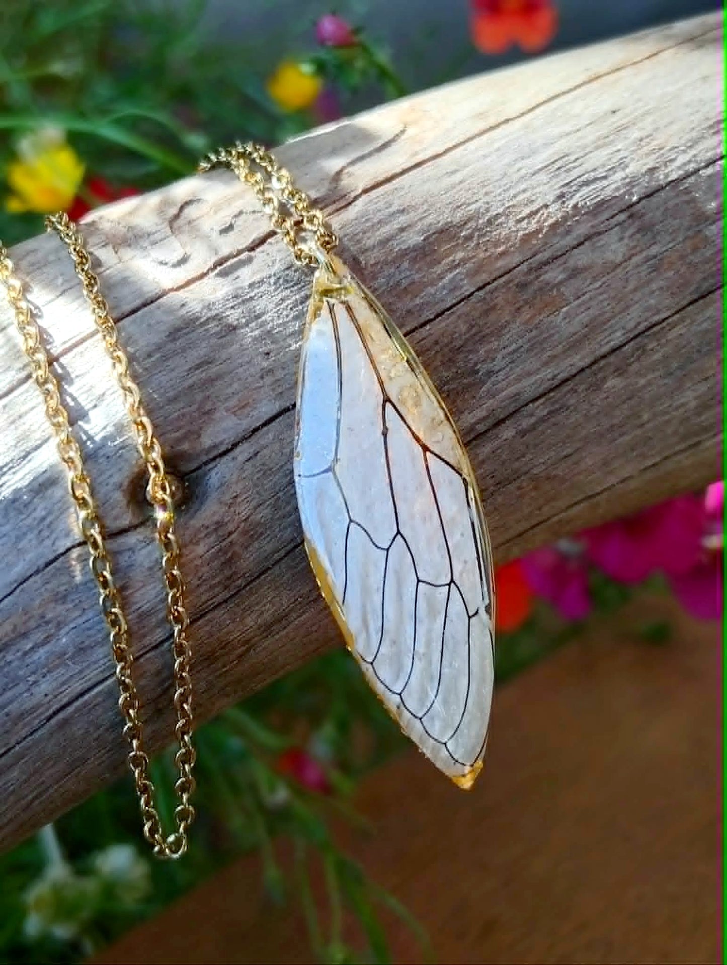 Collier Aile de cigale