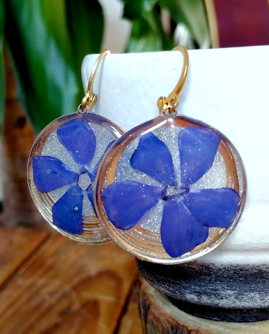 Boucles d'oreille Pervenche